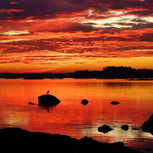 amanecer rojo