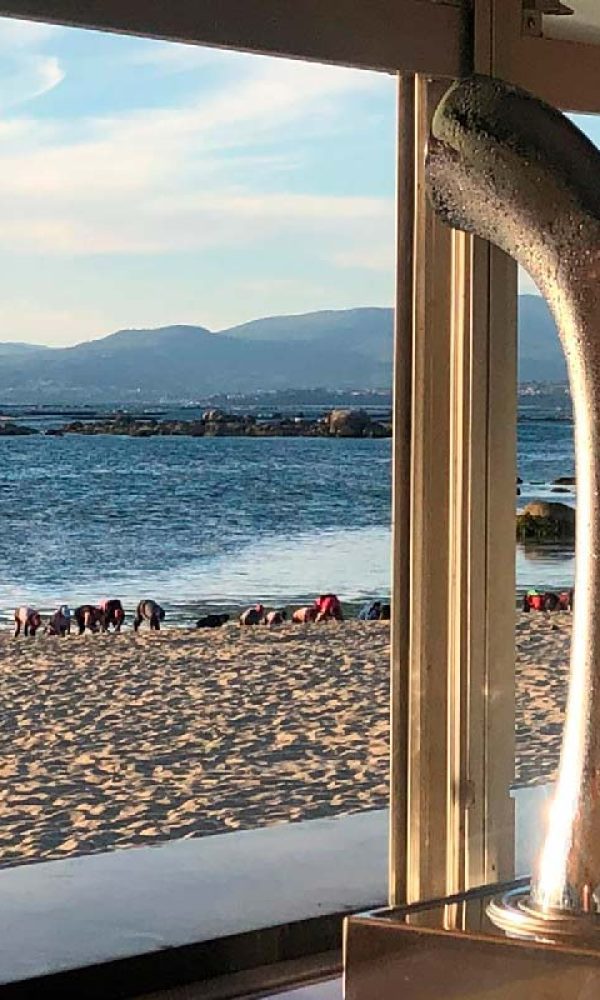 grifo de cerveza de la terraza del hotel leal la sirena
