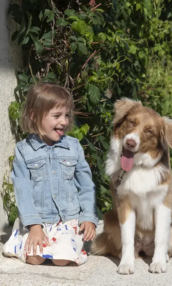 s pet friendly hotel leal